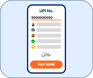 Pay to UPI Number